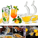 Espremedor de frutas em forma de pássaro e peixe, portátil de acrílico. - facilefuncional.com.br